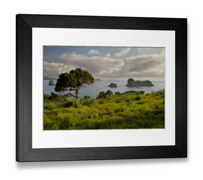 Framed Print : South Pacific, New Zealand, North Island Framed Print : South Pacific, New Zealand, North Island