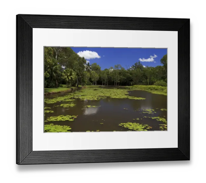 Framed Print : The fresh water lake section of of Centenary Lakes adjoining the Botanic Gardens