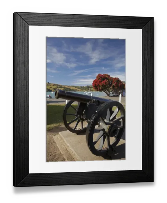 Framed Print : Old cannon and pohutukawa tree, Akaroa, Banks Peninsula, Canterbury, South Island Framed Print : Old cannon and pohutukawa tree, Akaroa, Banks Peninsula, Canterbury, South Island