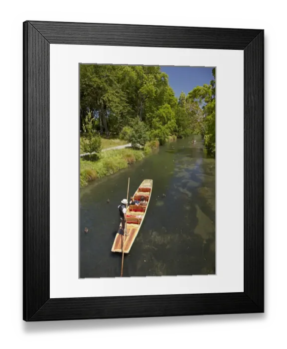 Framed Print : Punting on the Avon, Christchurch, Canterbury, South Island, New Zealand