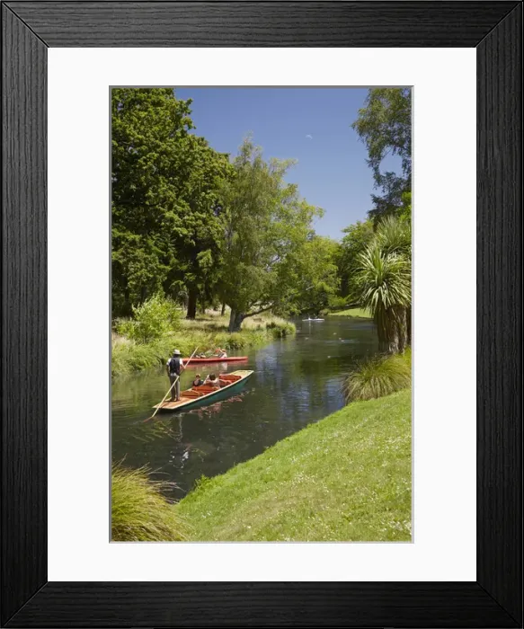 Framed Print : Punting on the Avon, Christchurch, Canterbury, South Island, New Zealand Framed Print : Punting on the Avon, Christchurch, Canterbury, South Island, New Zealand