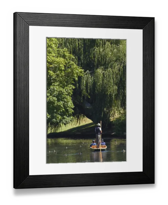 Framed Print : Punting on the Avon, Christchurch, Canterbury, South Island, New Zealand