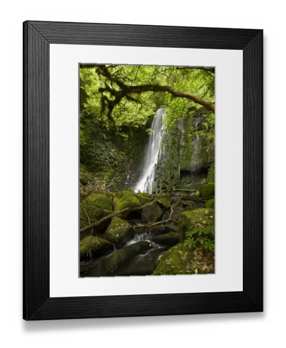 Framed Print : Matai Falls, Catlins, South Otago, South Island, New Zealand