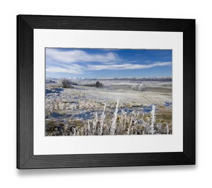 Framed Print : New Zealand, South Island, Central Otago, near Poolburn, Hoar Frost and Farmland Framed Print : New Zealand, South Island, Central Otago, near Poolburn, Hoar Frost and Farmland