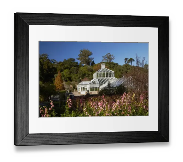 Framed Print : Winter Gardens and Flowers, Botanic Gardens, Dunedin, Otago, South Island, New Zealand