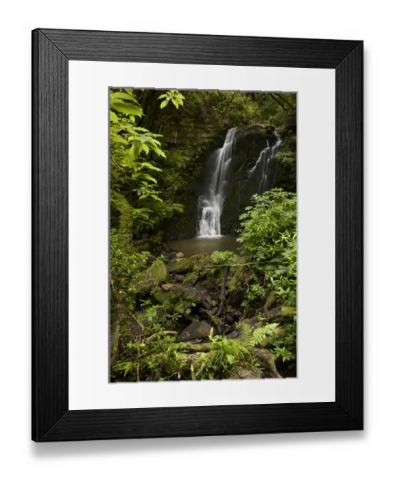 Framed Print : Horseshoe Falls, Matai Falls, Catlins, South Otago, South Island, New Zealand