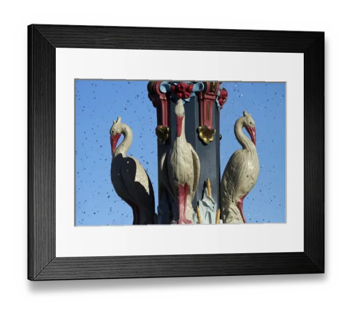 Framed Print : Bird sculptures on Peacock Fountain, Botanic Gardens, Christchurch, Canterbury, South Island