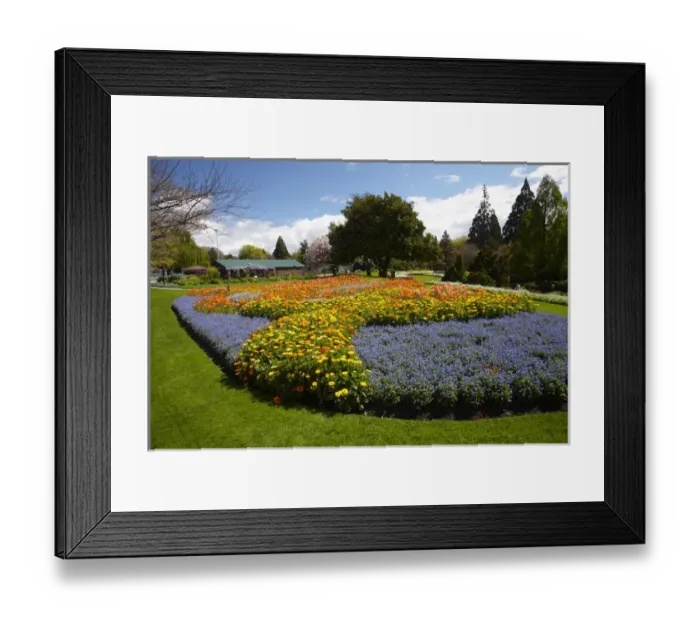 Framed Print : Spring Flowers, Pollard Park, Blenheim, Marlborough, South Island, New Zealand