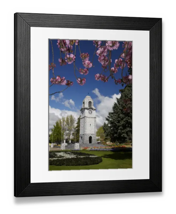 Framed Print : Spring blossom and Memorial Clock Tower, Seymour Square, Blenheim, Marlborough, South Island Framed Print : Spring blossom and Memorial Clock Tower, Seymour Square, Blenheim, Marlborough, South Island