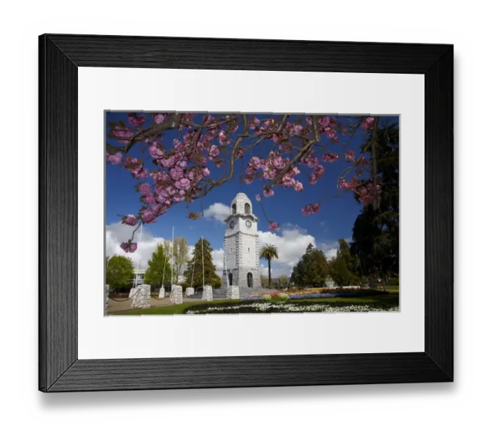 Framed Print : Spring blossom and Memorial Clock Tower, Seymour Square, Blenheim, Marlborough, South Island