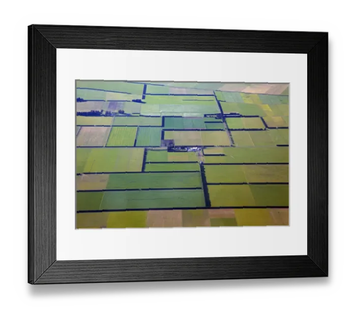 Framed Print : Wind breaks and farmland on Canterbury Plains, near Christchurch, South Island, New