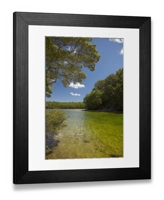 Framed Print : Mararoa River, below South Mavora Lake, Southland, South Island, New Zealand Framed Print : Mararoa River, below South Mavora Lake, Southland, South Island, New Zealand