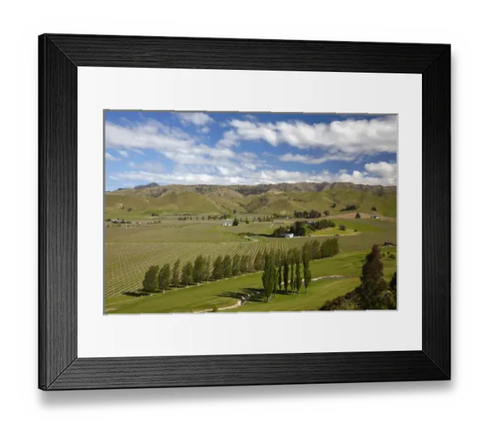 Framed Print : Marlborough Golf Club, vineyard, and farmland near Blenheim, Marlborough, South Island Framed Print : Marlborough Golf Club, vineyard, and farmland near Blenheim, Marlborough, South Island