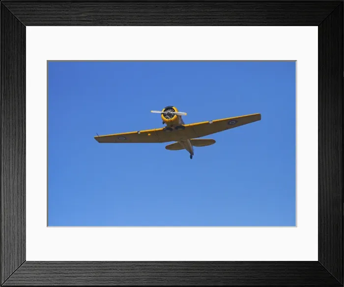 Framed Print : South America, Ecuador, Galapagos Islands, Genovesa, Darwin Bay Beach, great frigatebird