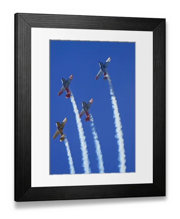 Framed Print : Aerobatic display by North American Harvards, or T-6 Texans, or SNJs Framed Print : Aerobatic display by North American Harvards, or T-6 Texans, or SNJs
