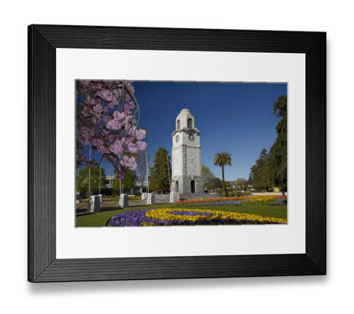 Framed Print : Spring blossom and Memorial Clock Tower, Seymour Square, Blenheim, Marlborough, South Island Framed Print : Spring blossom and Memorial Clock Tower, Seymour Square, Blenheim, Marlborough, South Island