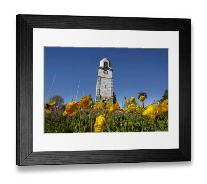 Framed Print : Memorial Clock Tower, Seymour Square, Blenheim, Marlborough, South Island, New Zealand Framed Print : Memorial Clock Tower, Seymour Square, Blenheim, Marlborough, South Island, New Zealand