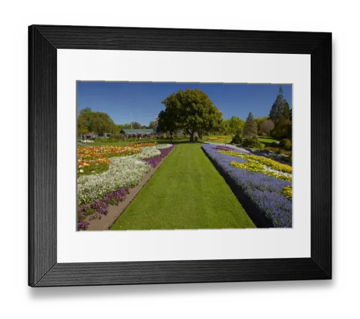 Framed Print : Spring Flowers, Pollard Park, Blenheim, Marlborough, South Island, New Zealand Framed Print : Spring Flowers, Pollard Park, Blenheim, Marlborough, South Island, New Zealand