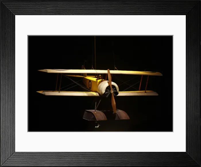 Framed Print : Sopwith Baby seaplane, Omaka Aviation Heritage Centre, Blenheim, Marlborough, South Island