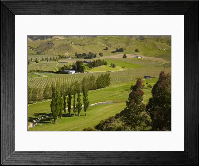 Framed Print : Marlborough Golf Club, vineyard, and farmland near Blenheim, Marlborough, South Island Framed Print : Marlborough Golf Club, vineyard, and farmland near Blenheim, Marlborough, South Island