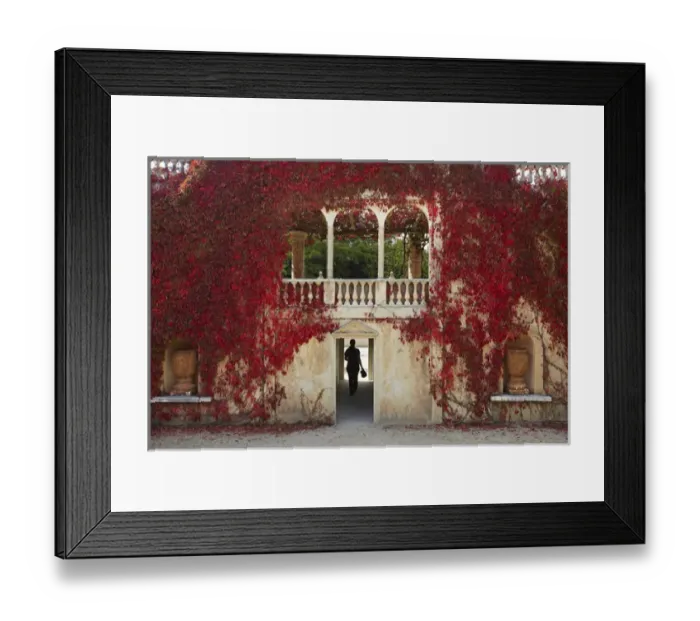 Framed Print : Autumn colour at the Italian Renaissance Garden, Hamilton Gardens, Hamilton, Waikato Framed Print : Autumn colour at the Italian Renaissance Garden, Hamilton Gardens, Hamilton, Waikato