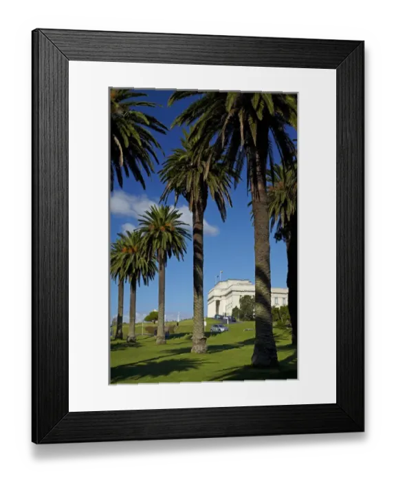 Framed Print : Auckland War Memorial Museum, Auckland Domain, Auckland, North Island, New Zealand Framed Print : Auckland War Memorial Museum, Auckland Domain, Auckland, North Island, New Zealand