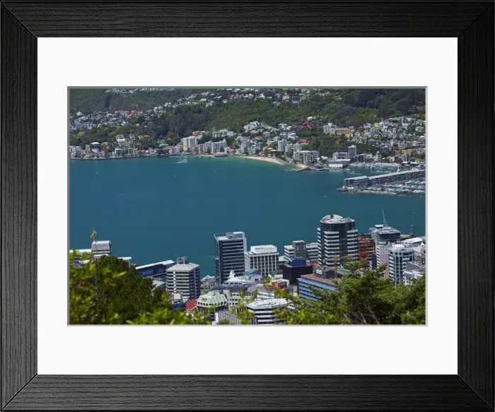 Framed Print : Central Business District, Wellington Harbour and Oriental Bay, Wellington, North Island, New Zealand Framed Print : Central Business District, Wellington Harbour and Oriental Bay, Wellington, North Island, New Zealand