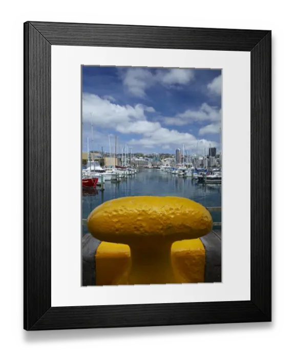 Framed Print : Chaffers Marina, Wellington, North Island, New Zealand Framed Print : Chaffers Marina, Wellington, North Island, New Zealand