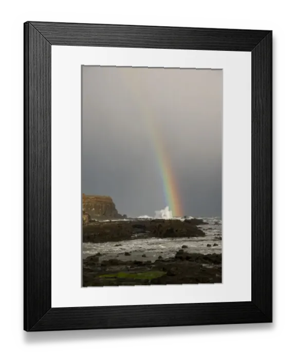 Framed Print : South Pacific, New Zealand, South Island. A rainbow arcs over Curio Bay. Credit as Framed Print : South Pacific, New Zealand, South Island. A rainbow arcs over Curio Bay. Credit as