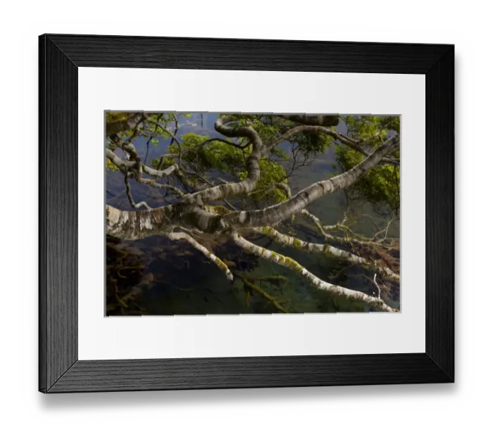 Framed Print : New Zealand, South Island, Fiordland National Park, Mirror Lakes Framed Print : New Zealand, South Island, Fiordland National Park, Mirror Lakes