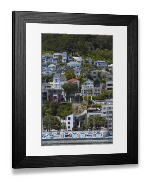 Framed Print : Historic Villas, Oriental Bay, and boatsheds at Clyde Quay Marina, Wellington, North Island