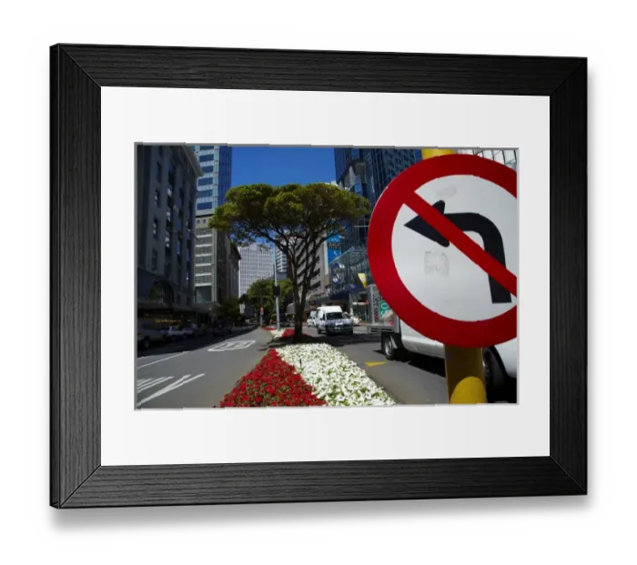 Framed Print : No left turn sign, Flowers and office buildings, Lambton Quay, Wellington, North Island Framed Print : No left turn sign, Flowers and office buildings, Lambton Quay, Wellington, North Island