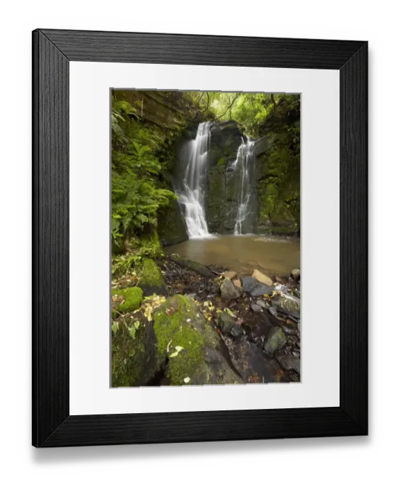 Framed Print : Horseshoe Falls, Matai Falls, Catlins, South Otago, South Island, New Zealand