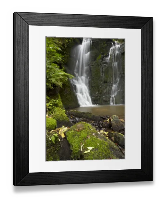 Framed Print : Horseshoe Falls, Matai Falls, Catlins, South Otago, South Island, New Zealand Framed Print : Horseshoe Falls, Matai Falls, Catlins, South Otago, South Island, New Zealand