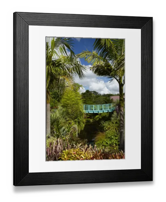 Framed Print : Tropical Garden, Hamilton Gardens, Waikato, North Island, New Zealand Framed Print : Tropical Garden, Hamilton Gardens, Waikato, North Island, New Zealand