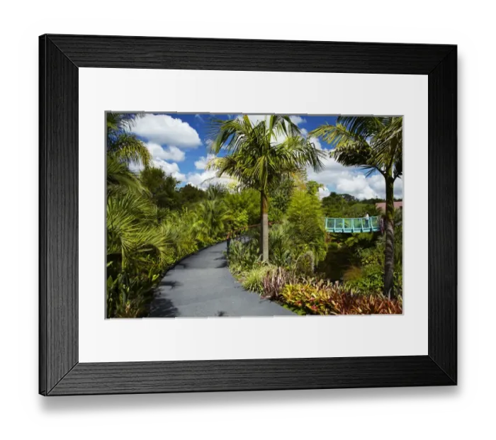 Framed Print : Tropical Garden, Hamilton Gardens, Waikato, North Island, New Zealand