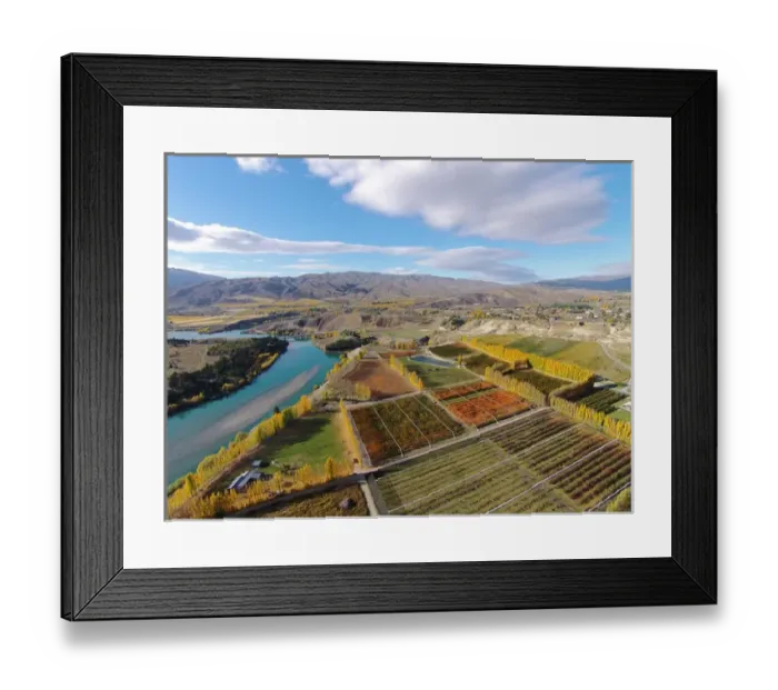 Framed Print : Orchards, poplar trees, and Lake Dunstan, Bannockburn, near Cromwell, Central Otago Framed Print : Orchards, poplar trees, and Lake Dunstan, Bannockburn, near Cromwell, Central Otago