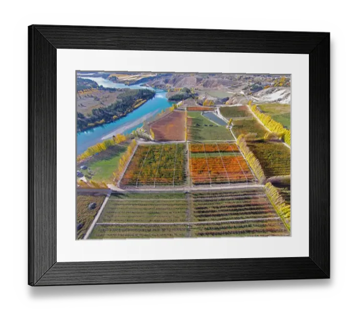 Framed Print : Orchards, poplar trees, and Lake Dunstan, Bannockburn, near Cromwell, Central Otago Framed Print : Orchards, poplar trees, and Lake Dunstan, Bannockburn, near Cromwell, Central Otago