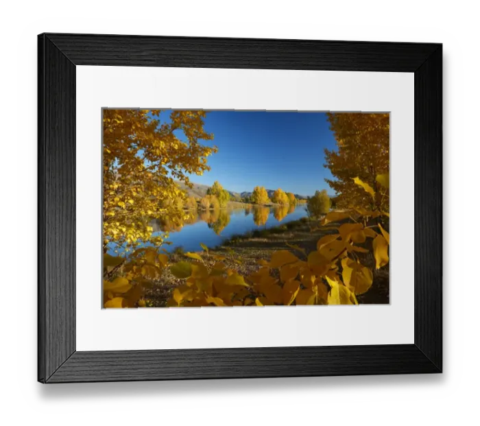 Framed Print : Autumn reflections in Kellands Pond, near Twizel, Mackenzie District, South Canterbury Framed Print : Autumn reflections in Kellands Pond, near Twizel, Mackenzie District, South Canterbury