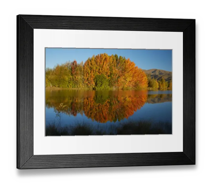 Framed Print : Autumn reflections in Kellands Pond, near Twizel, Mackenzie District, South Canterbury