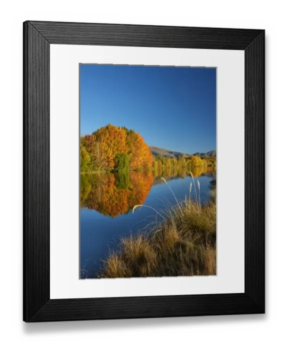 Framed Print : Autumn reflections in Kellands Pond, near Twizel, Mackenzie District, South Canterbury Framed Print : Autumn reflections in Kellands Pond, near Twizel, Mackenzie District, South Canterbury