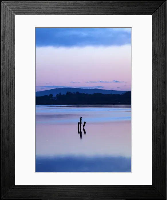 Framed Print : Reflections in New River Estuary at dusk, Invercargill, Southland, South Island Framed Print : Reflections in New River Estuary at dusk, Invercargill, Southland, South Island