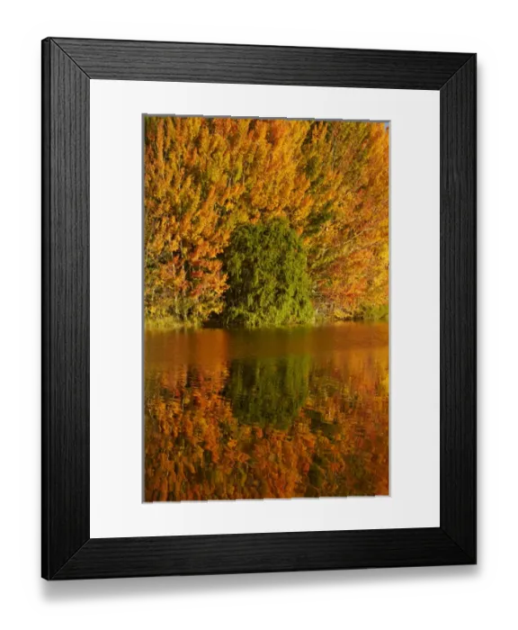 Framed Print : Autumn reflections in Kellands Pond, near Twizel, Mackenzie District, South Canterbury Framed Print : Autumn reflections in Kellands Pond, near Twizel, Mackenzie District, South Canterbury