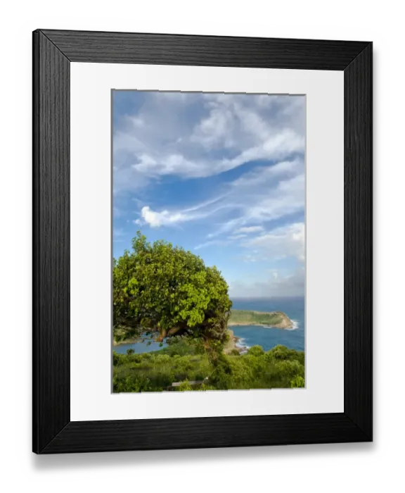 Framed Print : Indian Creek Point, Antigua, West Indies, Caribbean, Central America