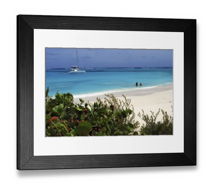 Framed Print : Swimming the waters of Prickly Pear Island with Festiva Sailing Vacations (MR) Framed Print : Swimming the waters of Prickly Pear Island with Festiva Sailing Vacations (MR)