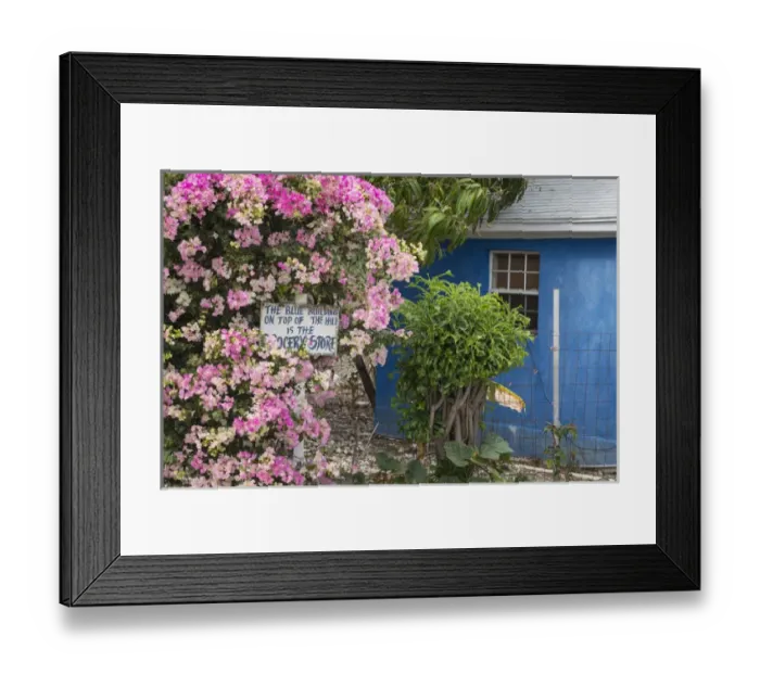 Framed Print : Bahamas, Exuma Island. Bougainvillea and sign Framed Print : Bahamas, Exuma Island. Bougainvillea and sign
