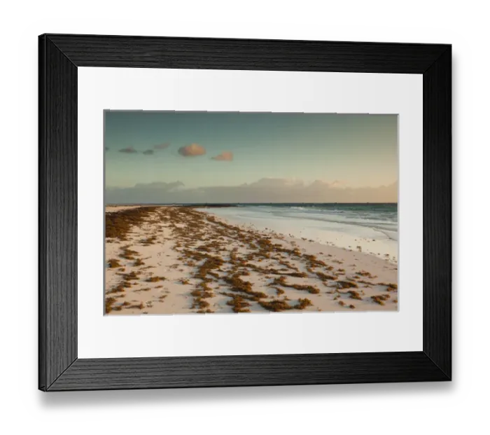 Framed Print : Bahamas, Eleuthera Island, Harbour Island, Pink Sands Beach, dawn