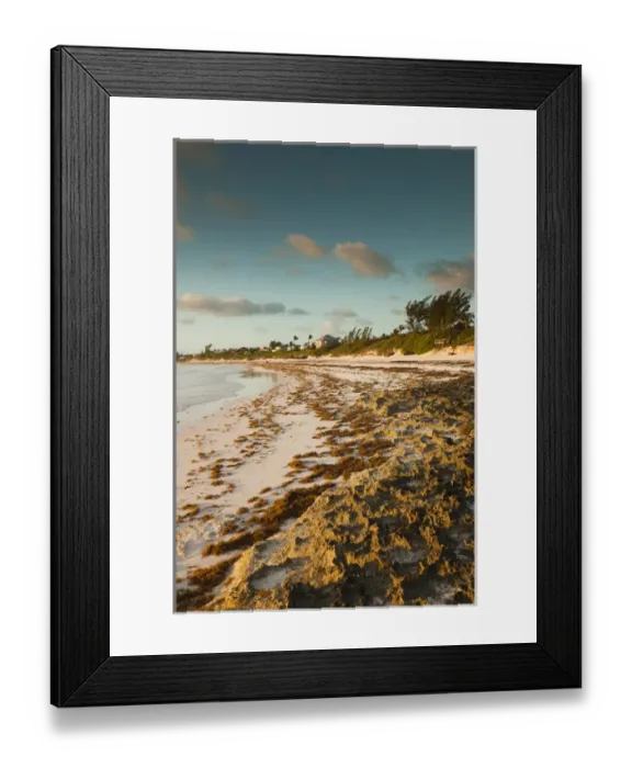 Framed Print : Bahamas, Eleuthera Island, Harbour Island, Pink Sands Beach, dawn