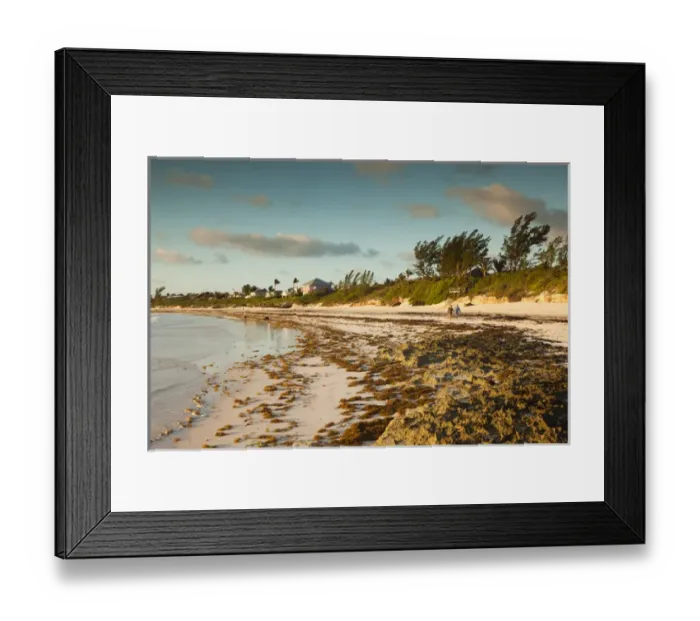 Framed Print : Bahamas, Eleuthera Island, Harbour Island, Pink Sands Beach, dawn Framed Print : Bahamas, Eleuthera Island, Harbour Island, Pink Sands Beach, dawn