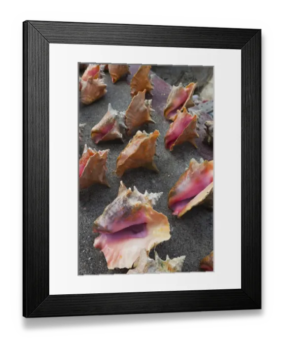 Framed Print : Bahamas, New Providence Island, Nassau, Straw market, souvenirs, conch shells Framed Print : Bahamas, New Providence Island, Nassau, Straw market, souvenirs, conch shells
